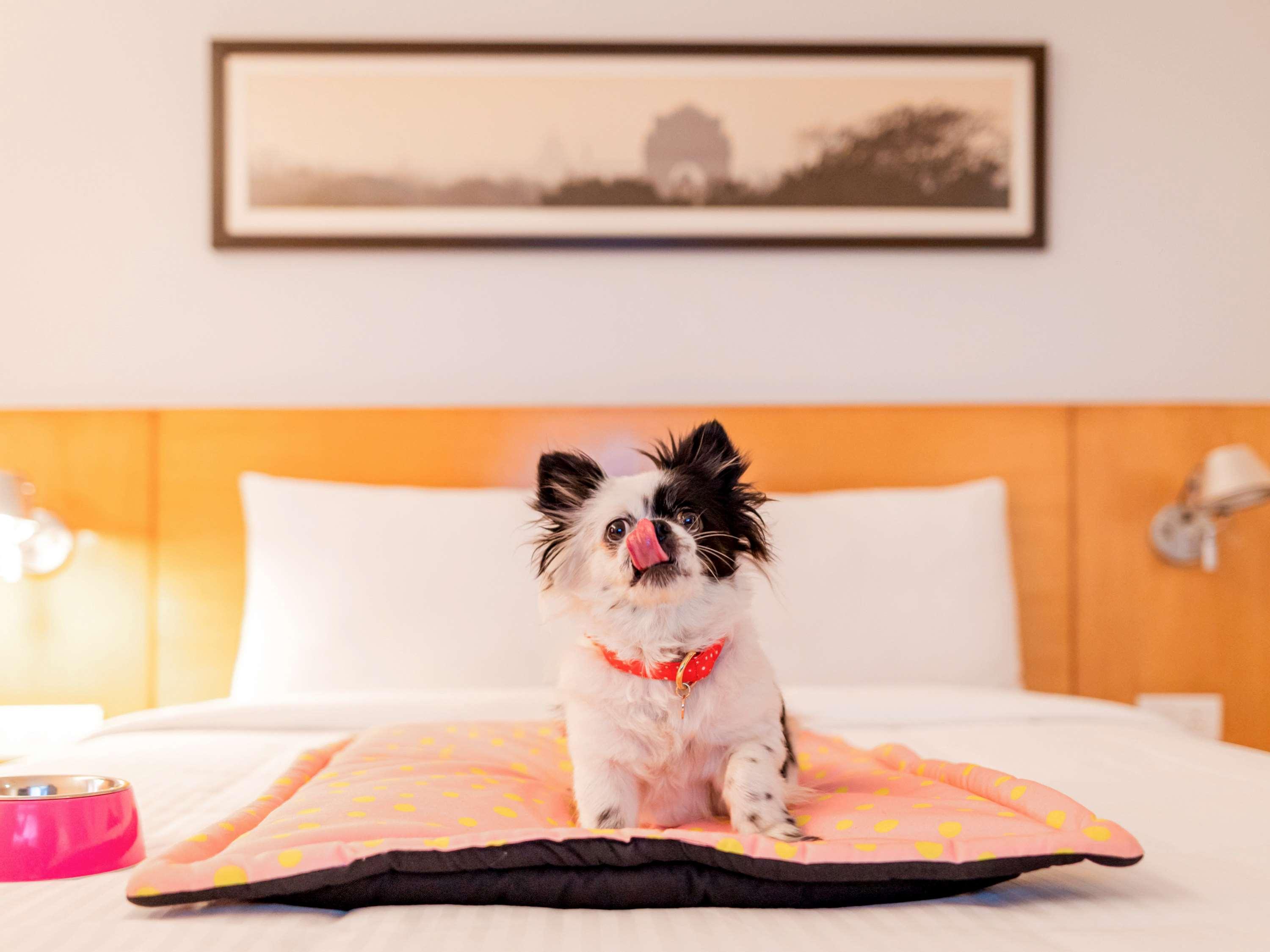 Mercure Canberra Extérieur photo
